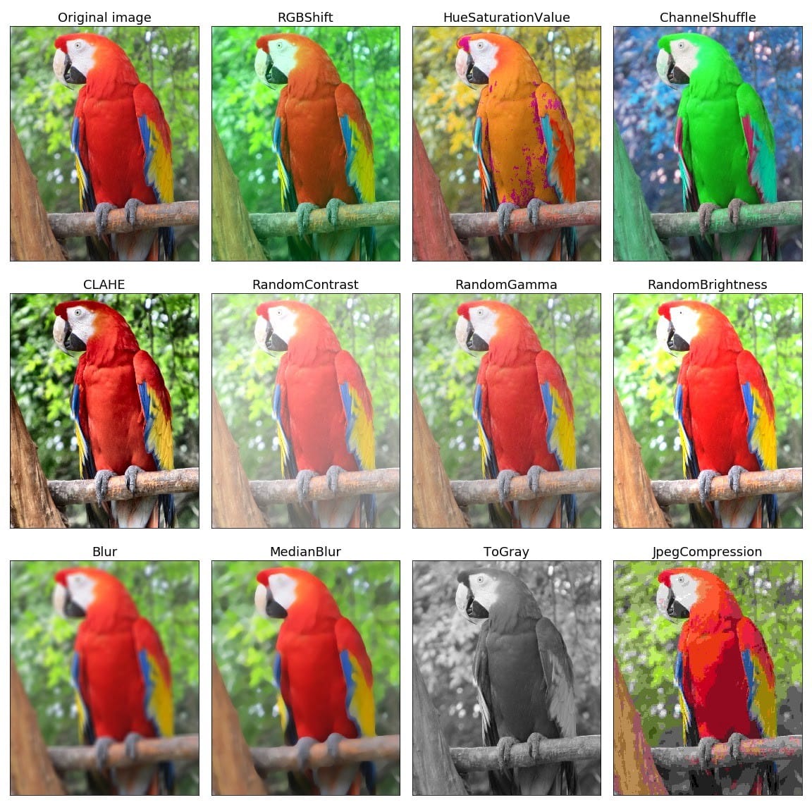 The birth of Albumentations Post feature image
